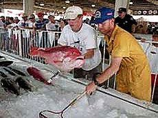 Deep Sea Fishing Rodeo Biloxi Mississippi