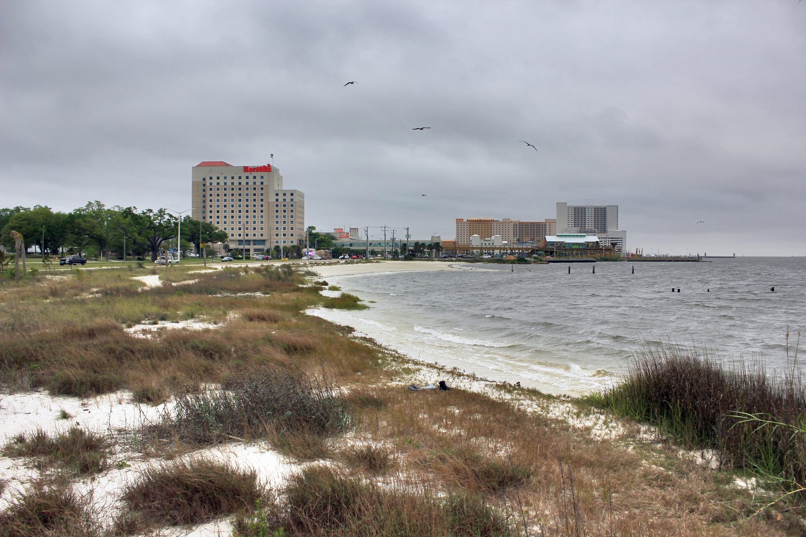 Biloxi beach with the Harrah's and Golden Nugget casino towers on the horizon