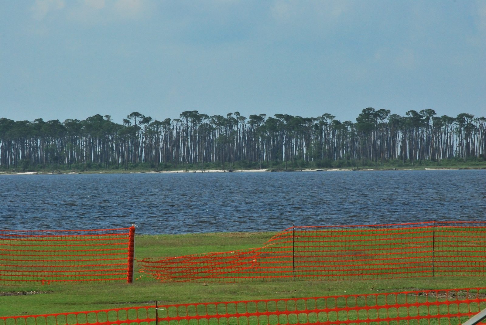 Deer Island's tree line seen across the water from Point Cadet in Biloxi